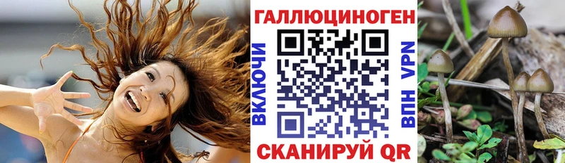 Псилоцибиновые грибы Psilocybe  Александровское 